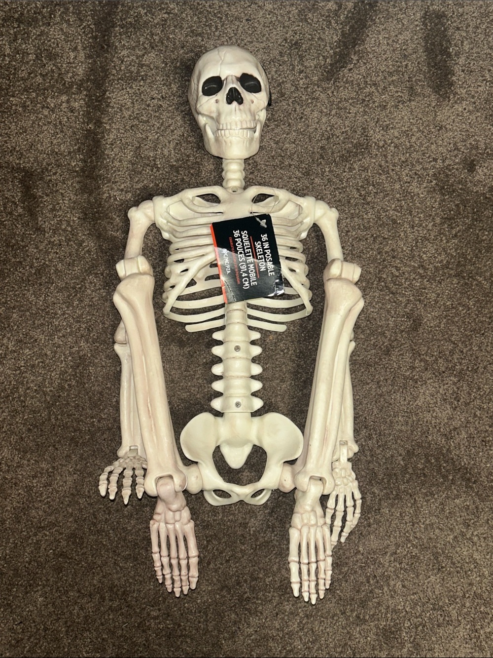 Spirit Off-White Halloween Skeleton Decoration